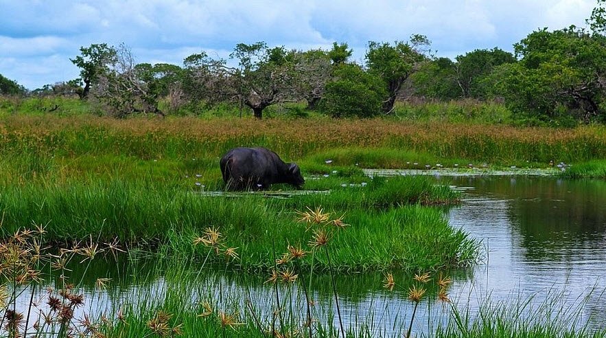 iSimangaliso Wetland Park, KwaZulu-Natal, South Africa